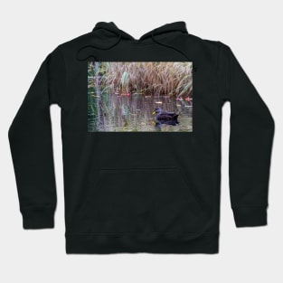 Duck at Heart Shaped Pond Hoodie